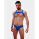 Blue Matt Elastic Harness