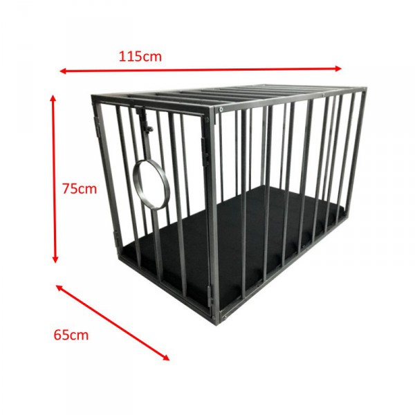 Removable metal BDSM cage