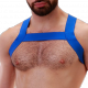 Blue Matt Elastic Harness