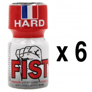 BGP Leather Cleaner FIST FRANKREICH 10ml x6