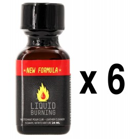  LIQUIDO BRUCIANTE 24mL x6