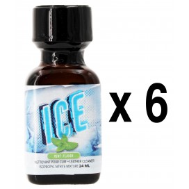 BGP Leather Cleaner  ICE Mint 24mL x6