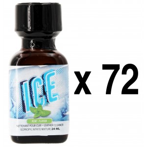 BGP Leather Cleaner  ICE Mint 24mL x72