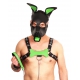 PUPPY SET GREEN LEATHER EARS AND TONGUE