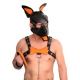 PUPPY SET OHREN UND ZUNGE AUS ORANGEFARBENEM LEDER