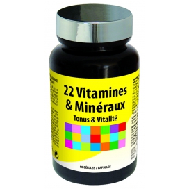22 Vitaminas e Minerais 60 Cápsulas