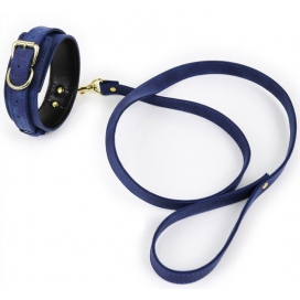 Lighty Blue Halsband und Leine