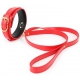 Red Lighty Collar and Lead
