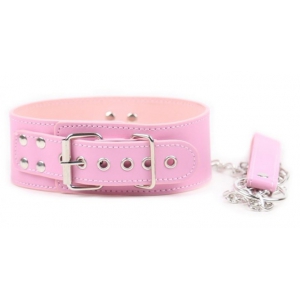 Pink Pin Lock Collar and Lead