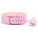 Pink Pin Lock Collar and Lead
