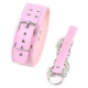 Pink Pin Lock Collar and Lead