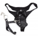 Thong in imitation with leash