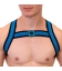 Colin Blue elastic harness