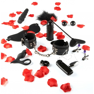 Just for You TOYJOY Amazing Pleasure Pack 10 Sextoys
