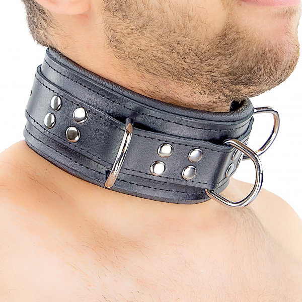 Padded Leather Collar with Black D-Rings