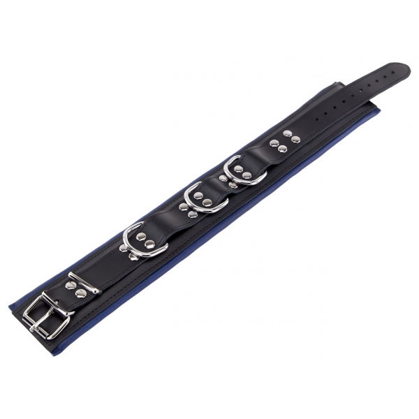 Leren halsband - gewatteerd - 3 D-ringen - Zwart/Blauw