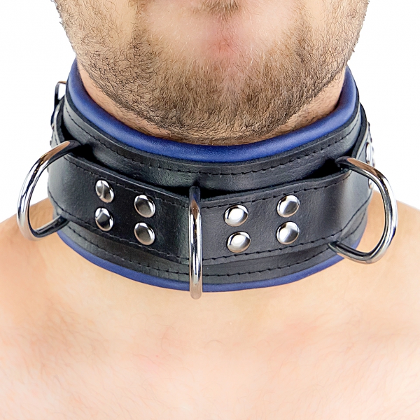 Leather collar - padded - 3 D rings - Black/Blue