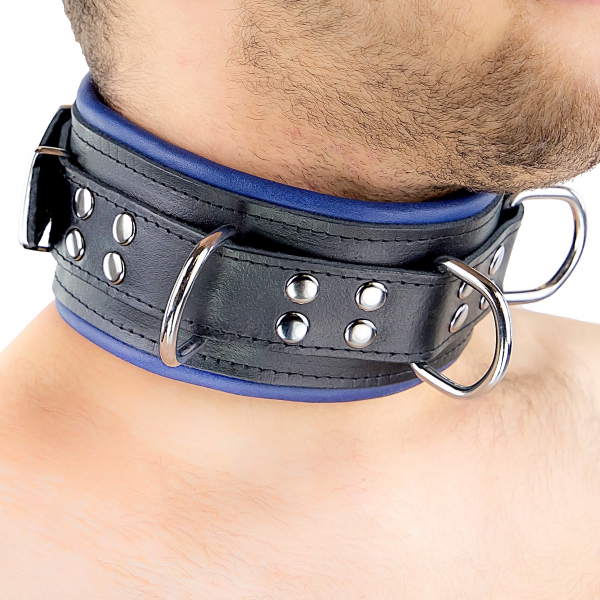 Gepolstertes Halsband aus Leder 3 Ringe D Blau