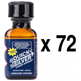 BGP Leather Cleaner QUICK ZILVER 24ml x72