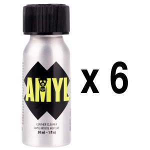 BGP Leather Cleaner AMYL Pocket 24ml x6