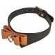 Black and Brown Butler Collar and Lead