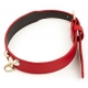 Collar y correa Master Me Red