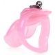 Stop Deze Kuisheidskooi 9 x 3cm Roze