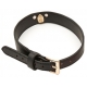 Master Me Collar & Leash Black