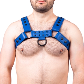 The Red Harness Couro Snap Leather Harness Blue
