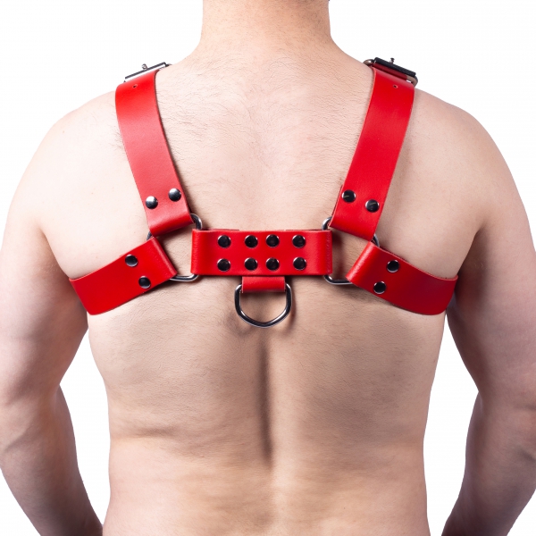 Leather Harness Buckle Red