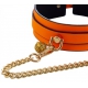 Halsband-Leine Phosphorescent Luminous Orange