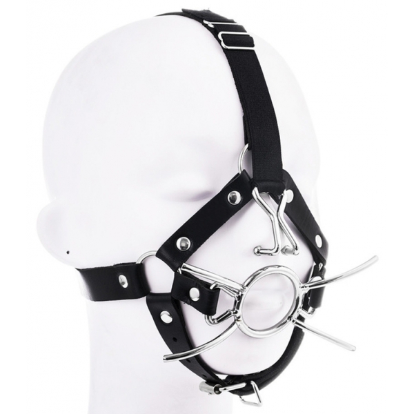 Spider gag with nose hook