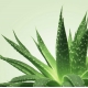 Gel de masaje Nuru Mixgliss Aloe Vera 250ml