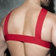 DOUBLE RING Harness Red