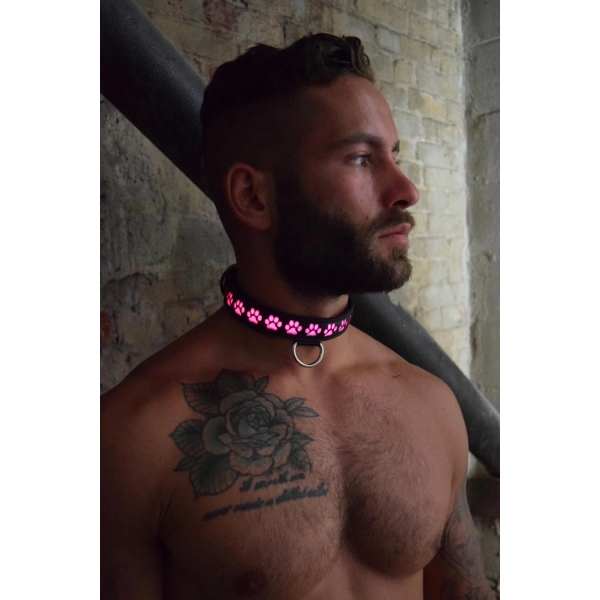 Collier Lumineux GLOW PUP Breedwell