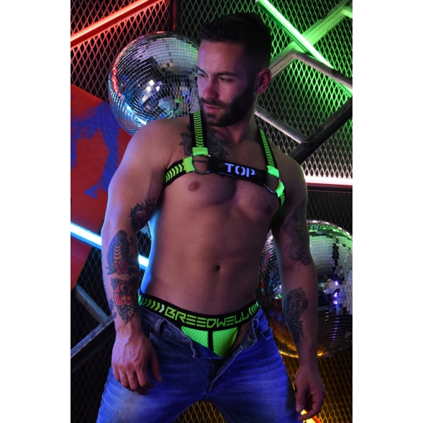 Lighted Strap for TOP Breedwell Harness