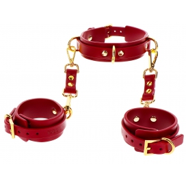 TABOOM Collier D-Ring avec Menottes de poignets Taboom Rouge