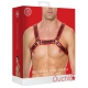 Bulldog Buckle Harness Black-Red