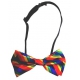 BOW TIE Papillon arcobaleno