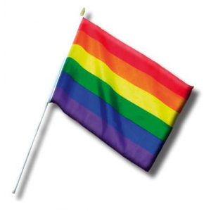 Pride Items Mini Bandiera Arcobaleno 20 x 30cm