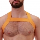Imbracatura elastica gialla MATT