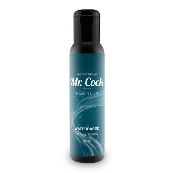 Gleitgel Wasser Wet Dream Mr Cock 100ml