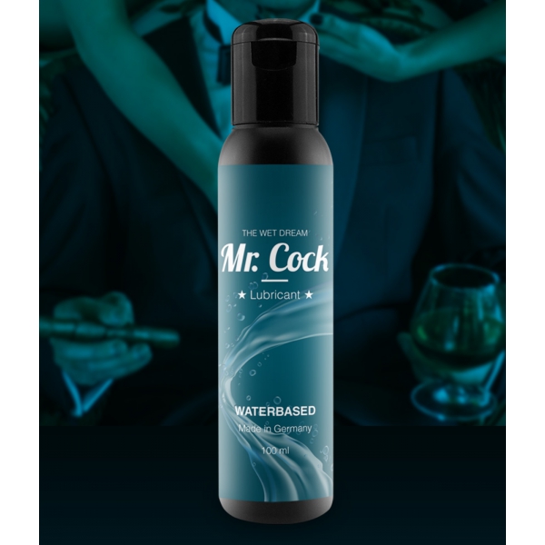 Gleitgel Wasser Wet Dream Mr Cock 100ml