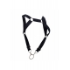 DNGEON Straigh Back Harness Black