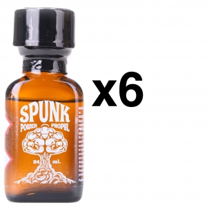 BGP Leather Cleaner SPUNK KRACHT 24ml x6