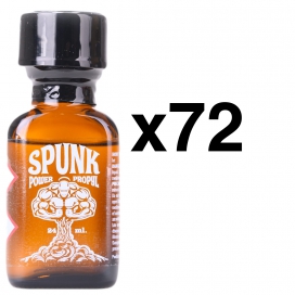 BGP Leather Cleaner  SPUNK KRACHT 24ml x72