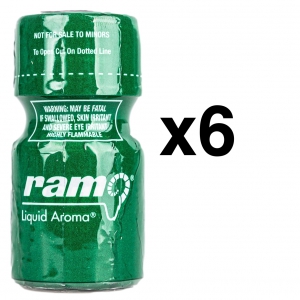 BGP Leather Cleaner RAM 10ml x6