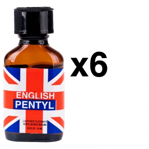 BGP Leather Cleaner PENTILLO INGLESE 24ml x6