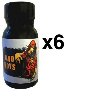 FL Leather Cleaner  BAD BOYS 13ml x6