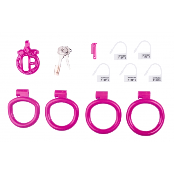 Turtle Chastity Device With 4 Penis Rings PINK